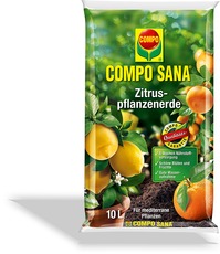 COMPO SANA Zitruspflanzenerde