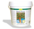 Baum-Power, Schacht