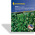Salate, Asia-Salate, Kiepenkerl