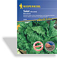 Salat, Eissalat Barcelona, Resistent-Pilliert, Kiepenkerl
