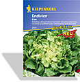 Endivie Eros, Kiepenkerl