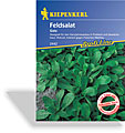 Salat, Feldsalat Gala, Tolerant, Kiepenkerl