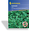 Salat, Feldsalat Favor, Tolerant, Kiepenkerl