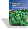 Salat, Kopfsalat Larissa, Kiepenkerl