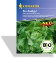 Salat, Kopfsalat Ovation, Kiepenkerl