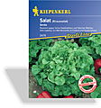 Salat, Eichblattsalat Smile, Resistent, Kiepenkerl