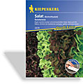 Salat, Pflücksalat Salatwiese (Saatband), Kiepenkerl