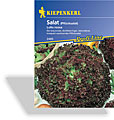 Salat, Pflücksalat Lollo Rossa, Kiepenkerl