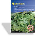 Salat, Bataviasalat Leny, Resistent, Kiepenkerl