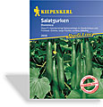 Gurke, Salatgurke Dominica, Resistent, Kiepenkerl