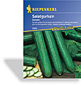 Gurke, Salatgurke Saladin, Kiepenkerl