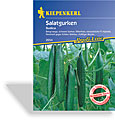 Gurke, Salatgurke Sudica, Resistent, Kiepenkerl