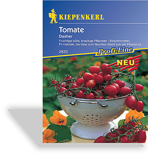 Für Tomatenfans eine richtig gute Wahl: Die Tomate Dasher aus dem Kiepenkerl Profi-Line Sortiment