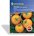 Tomate, Strauchtomate Bolzano, Resistent, Kiepenkerl