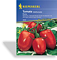 Tomate, Eiertomate Roma, Kiepenkerl