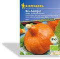 Kürbis, Kastanienkürbis Uchiki Kuri, Kiepenkerl