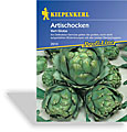 Artischocke Vert Globe, Kiepenkerl