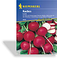 Radieschen Lucia, Kiepenkerl