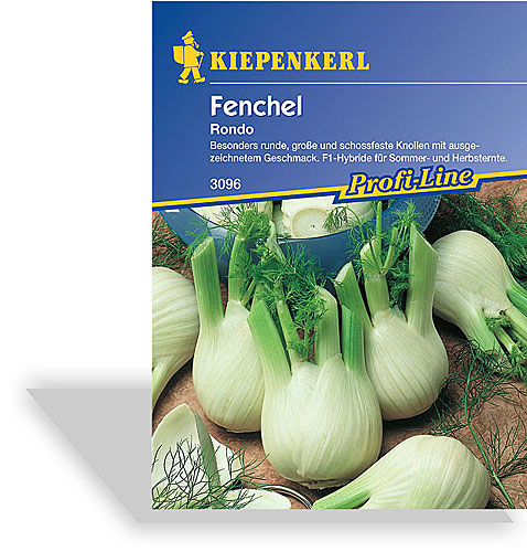 Knollenfenchel ist eine vitaminreiche und leckere Alternative auf dem Speiseplan
