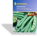 Bohne, Puffbohne Perla, Kiepenkerl