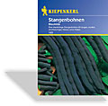 Bohne, Stangenbohne Blauhilde, Kiepenkerl