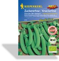 Erbse, Zuckererbse Zuccola, Tolerant, Kiepenkerl
