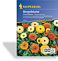 Ringelblume Fiesta Gitana, Kiepenkerl