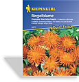 Ringelblume Oranges Stachelschwein, Kiepenkerl