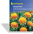 Färberdistel Orange Ball, Kiepenkerl