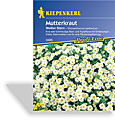 Mutterkraut Weißer Stern, Kiepenkerl