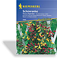 Schönranke Tresco-Hybriden, Kiepenkerl
