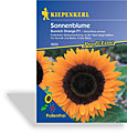 Sonnenblume Sunrich Orange, Kiepenkerl