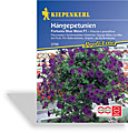 Petunie, Hängepetunie Fortunia Blue Wave, Kiepenkerl