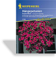 Petunie, Hängepetunie Fortunia Purple Wave, Kiepenkerl
