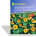 Schwarzäugige Susanne Susi, Kiepenkerl