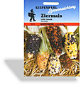 Mais, Ziermais Little Jewels, Kiepenkerl