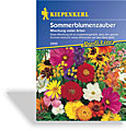 Sommerblumen-Zauber, Kiepenkerl