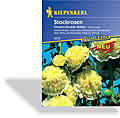 Stockrose Chaters Double Yellow, Kiepenkerl