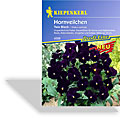 Hornveilchen Twix Black, Kiepenkerl
