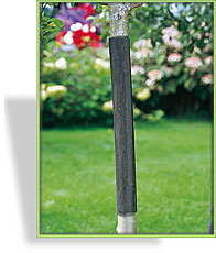 Baumschutz-Gitter