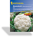 Blumenkohl, Winterblumenkohl Burt, Kiepenkerl