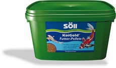 KoiGold