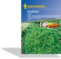 Endivie Jolie, Frisée, Kiepenkerl