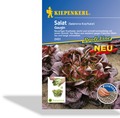 Salat, Kopfsalat Gaugin, Kiepenkerl