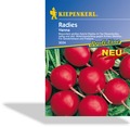 Radieschen Riesenbutter / Vienna, Kiepenkerl