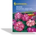 Geranie Kiruna-Mischung, Kiepenkerl