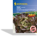 Salat, Kopfsalat Adrienne, Kiepenkerl