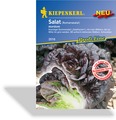 Salat, Romanasalat Mordore, Resistent, Kiepenkerl