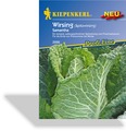 Wirsing, Spitzwirsing Samantha, Kiepenkerl