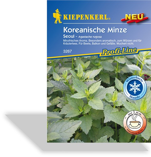 Besonders aromatische Minze für Tees oder zum Würzen arabischer und exotischer Speisen